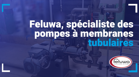 Feluwa : spécialiste en pompe à membranes modulaires