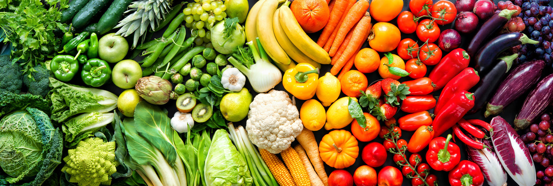 Applications industrie agroalimentaire - Pompage