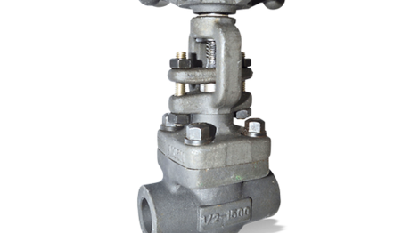Vanne KSB ECOLINE GTF 800