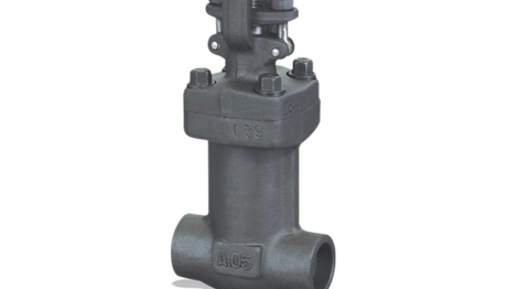 Robinet d'arrêt à soupape KSB ECOLINE GLB 800